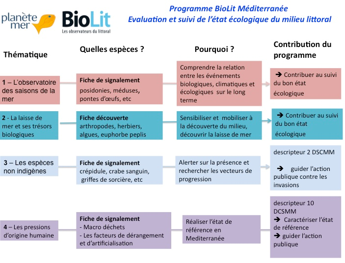 overview