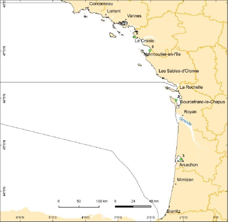 overview