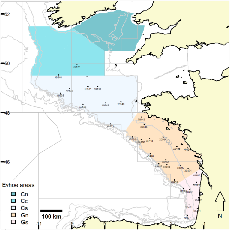 overview